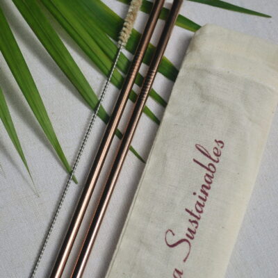 Almitra Sustainables Reusable Copper Straw (Straight) Pack of 2 with Cleaner